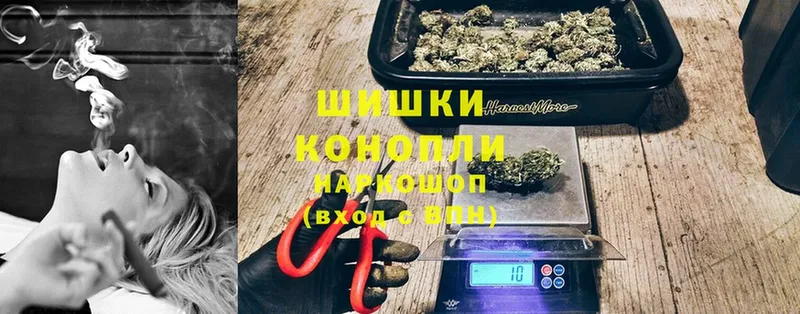 Конопля OG Kush  Губкин 